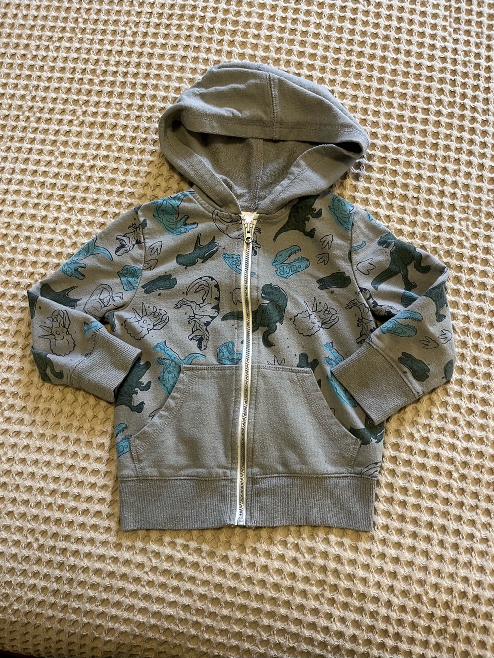 5 for $20 Jumping Beans Hoodie with Dino Print - Gray & Teal
